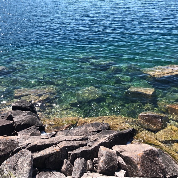 Meet your Posher, Lucas - Picture 1 of 1